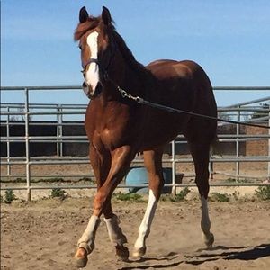 Meet your Posher, Blanca